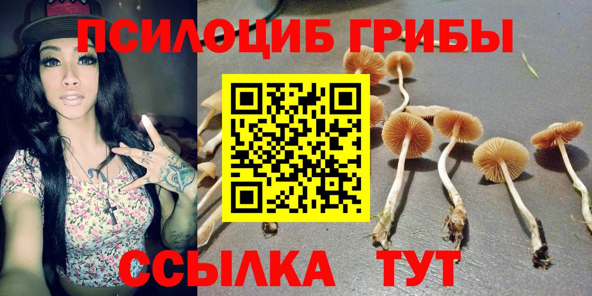 Галлюциногенные грибы Magic Shrooms Шали