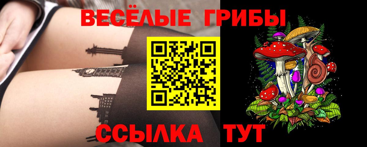 Шали  Галлюциногенные грибы Psilocybe  Вход с VPN  Псилоцибиновые грибы ЛСД 