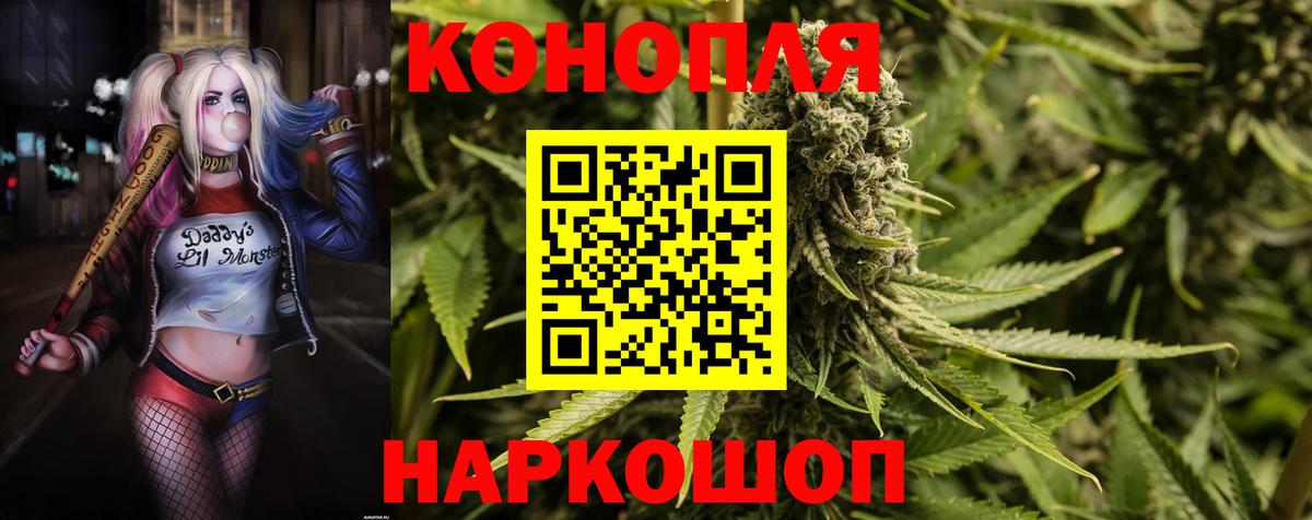 Шишки марихуана индика Шали